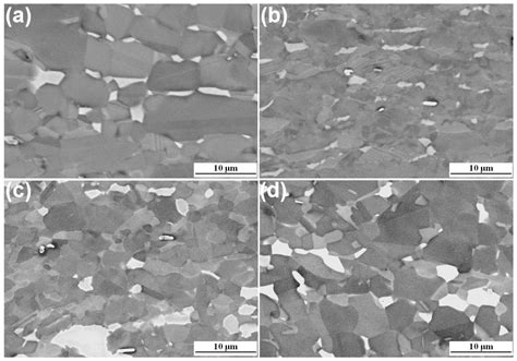 Metals Free Full Text Microstructure Evolution Of A High Nb