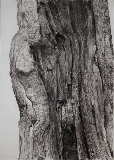 Charcoal Drawings Of Trees