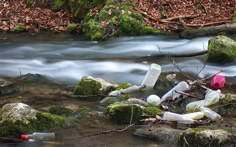 Contaminacion Por Basura Causas Y Consecuencias Images Nbkomputer