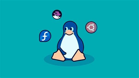 Linux para Principiantes Curso Online con 30 Clases y 7 Horas de Duración