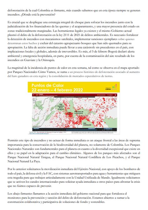 La carta a Duque por las alarmantes cifras de deforestación en Caquetá