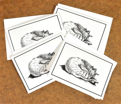 Tabby Cat Pen And Ink Notecards Cat Greeting Cards Set Of 4 Etsy