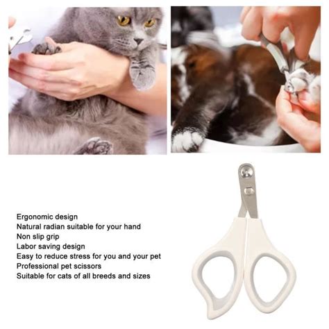 Duo Coupe Griffes Pour Chat Coupe Ongle Pour Chiot Et Petits Animaux