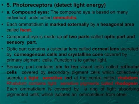 Lecture 18 Insect Sense Organs Copy Ppt