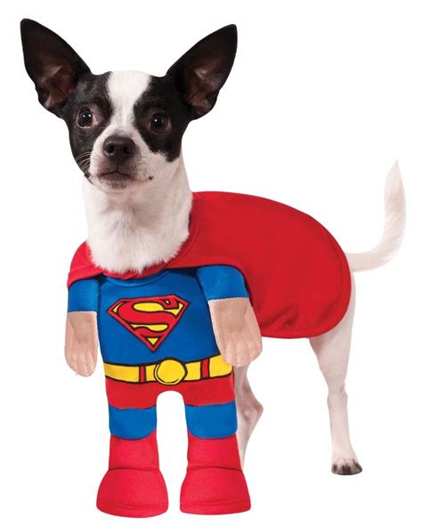 Dogs In Superhero Halloween Costumes