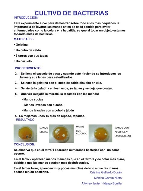 Cultivo De Bacterias Y Hongos Pdf