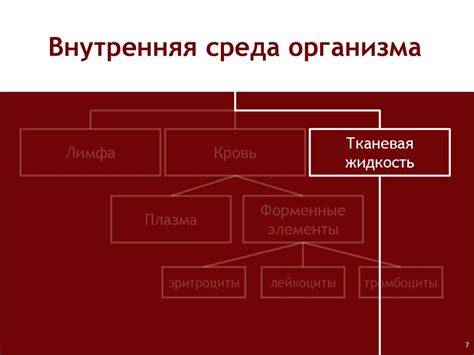 Внутренняя среда организма: кровь, тканевая жидкость, лимфа. Основные ...