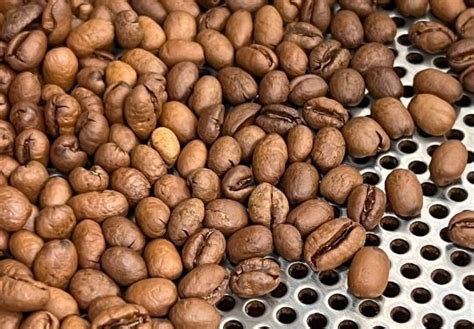 Brazil Peaberry Natural Single Origin Coffee Beans