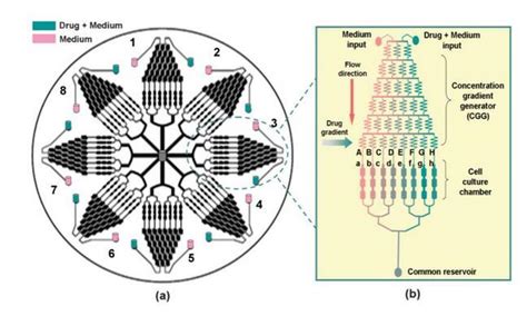 微流控芯片技术在生物医学领域的应用浅析 上海谓载科技有限公司