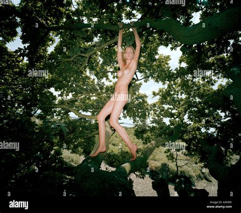 Nude Girl Climbing A Tree Stock Photo Alamy