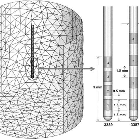 Schematic Diagram Of The 3d Finite Element Model Geometry And Mesh Download Scientific Diagram