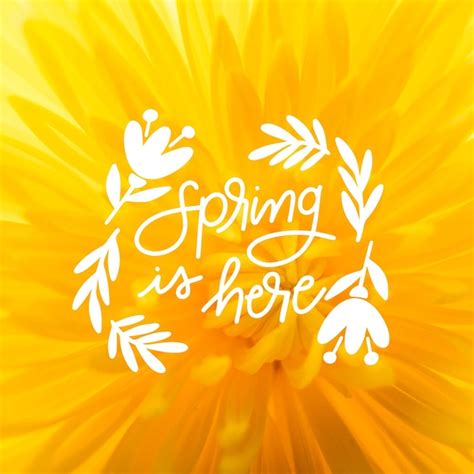 Free Vector Hello Spring Lettering With Photo