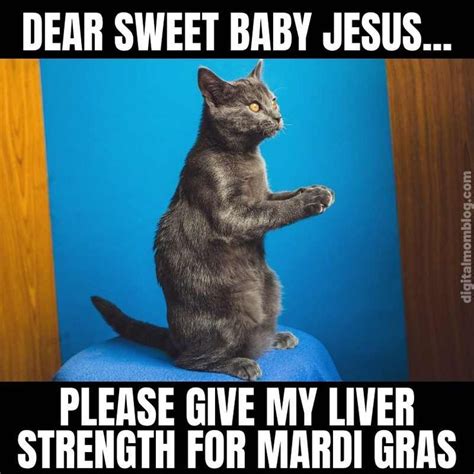 30 Hilarious Mardi Gras Memes To Laugh Your Beads Off With Mardi Gras