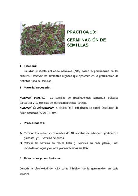 PDF PRÁCTICA 10 GERMINACIÓN DE SEMILLASocw bib upct es 5417 mod