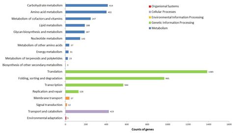 Biomolecules Free Full Text Full Length Transcriptomes And Sex