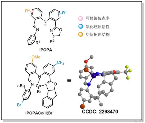 浙江大学陆展教授团队：新型非对称nnn三齿（cut）阴离子配体，不可“钴”量 Csdn博客