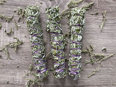 The Magic Of Mugwort How To Use Mugwort In Your Magical Workings Moon And Leaf Magic