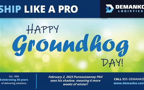 Groundhog Day Demanko Logistics