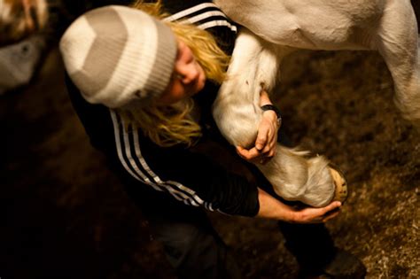 Fotoreportage med hästsjukgymnast Fotograf Stefan Tell