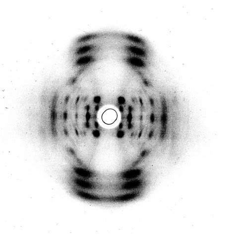 X Rays X Ray Crystallography Dna X Ray