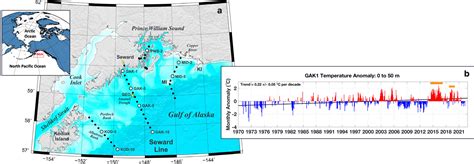 Recent Marine Heatwaves Affect Marine Ecosystems From Plankton To Seabirds In The Northern Gulf