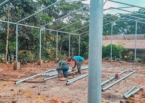 Más plantas para reforestar Pastaza Gobierno Provincial de Pastaza