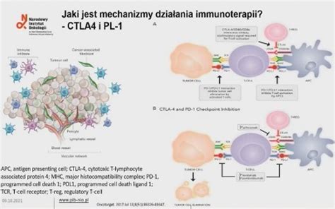 Czy Leczenie Skojarzone Immunoterapia I Terapia Ukierunkowana