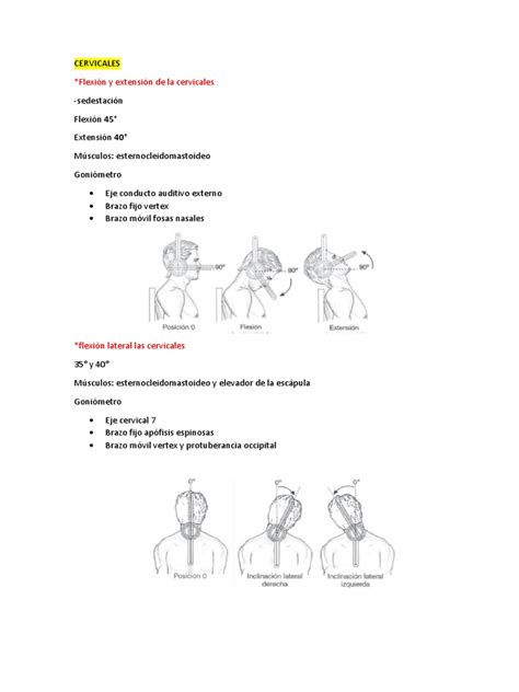 Goniometria Pdf Hombro Tobillo