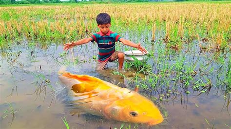 Best Unique Hand Fishing Video Village Boy Catching Big Fish By