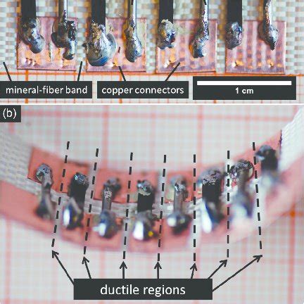 Microphotography Of The Prototype Flexible Teg A Side View On Plan