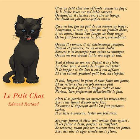 Le Petit Chat D Edmond Rostand Le Blog De Domi