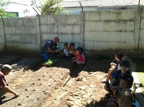 Alunos de EMEI na Vila Independência realizam plantio de mudas em horta