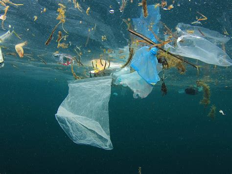 Unsere Ozeane Versinken In Plastikm Ll Wwf