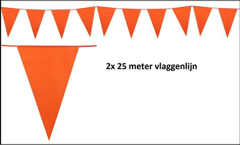 X Vlaggenlijn Oranje Meter Koningsdag Ek Wk Sport Festival Thema