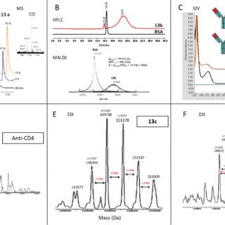 Conjugate Characterization A Hplc And Hplc Ms Analysis Of Peptide