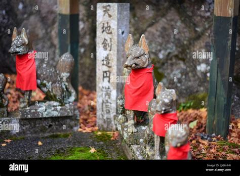 Fox Statues Guarding The Forest Shrine Stock Photo Alamy