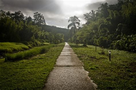 20 best images about Guayana (Francia) / Guyana / Guyane / Guiana on ...