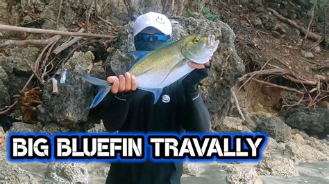 BLUEFIN BABON TAKLUK YouTube