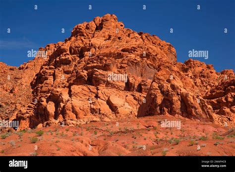 Red Rocks Valley Of Fire State Park Nevada Stock Photo Alamy