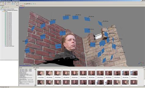 Tutorial agisoft metashape professional - azsno