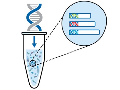 SNP Genotyping Is Easy With MassArray Of Agena Labclinics