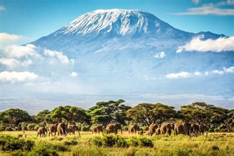 Mount Kilimanjaro Facts & History | Tailormade Africa