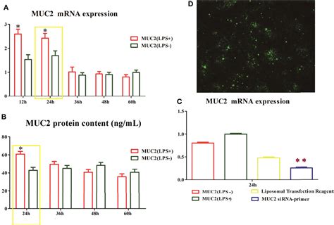 Frontiers Endotoxins Induced Ecm Receptor Interaction Pathway Signal Effect On The Function Of