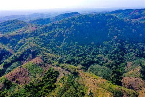 Atv Tour At Fundaci N Loros Embrace Adventure And Wildlife