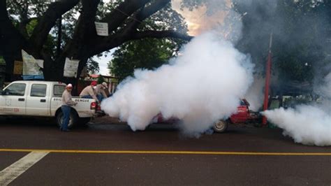 El Combate Al Mosco Transmisor De Zika Es Permanente Salud