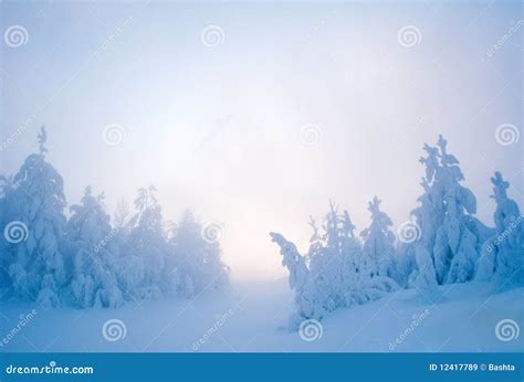 Twilight Snow Stock Image Image Of Nordic Scene Scenics 12417789