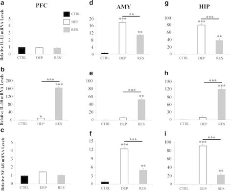 Expression Levels Of Il 1β Il 10 And Nf Kb In Pfc Amy And Hip Of Download Scientific