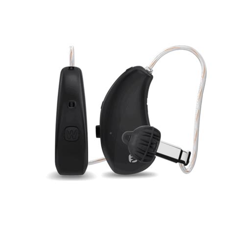 Best Hearing Aid Machine For Tinnitus Masking Best Price Guaranteed