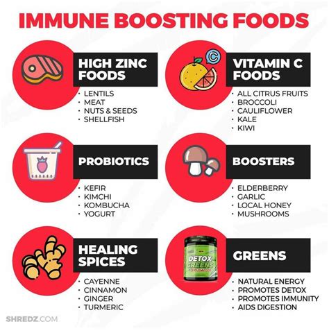 Immune Boosting Foods – Shredz Supplements