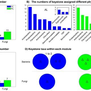 Keystone Microbial Taxa Network And Distribution Characteristics In